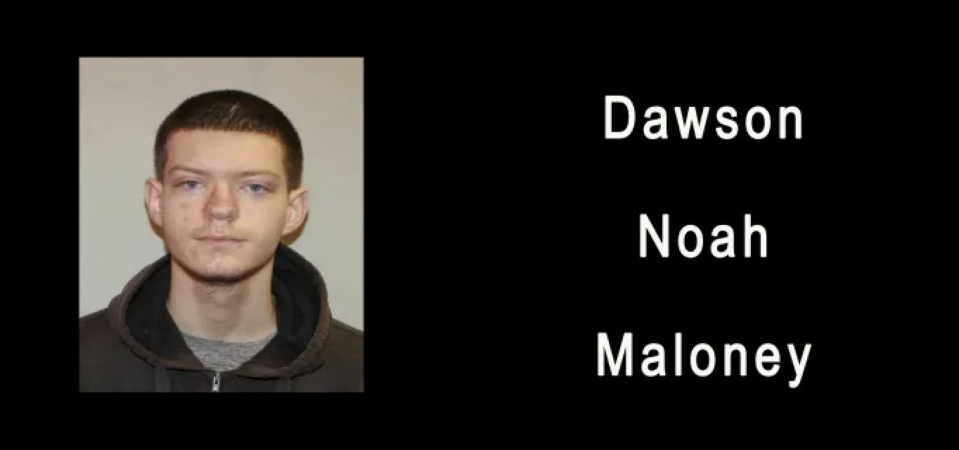 Dawson Maloney