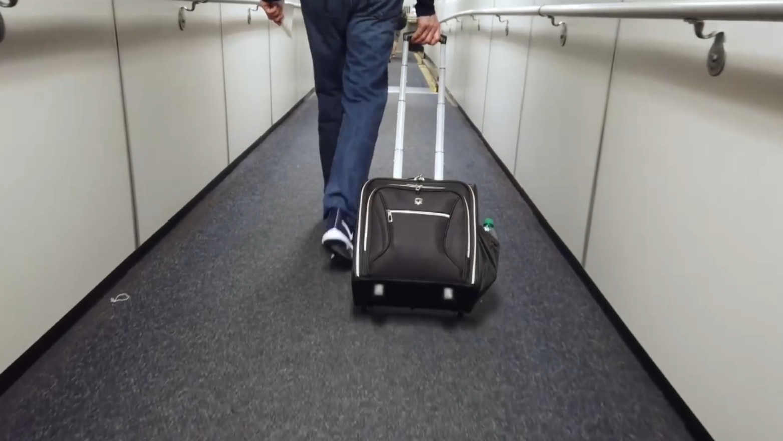 luggage .png