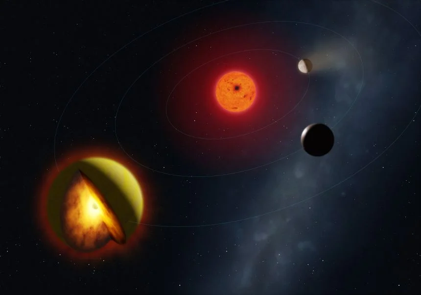mark_garlick_illustration_v2 (1).jpeg