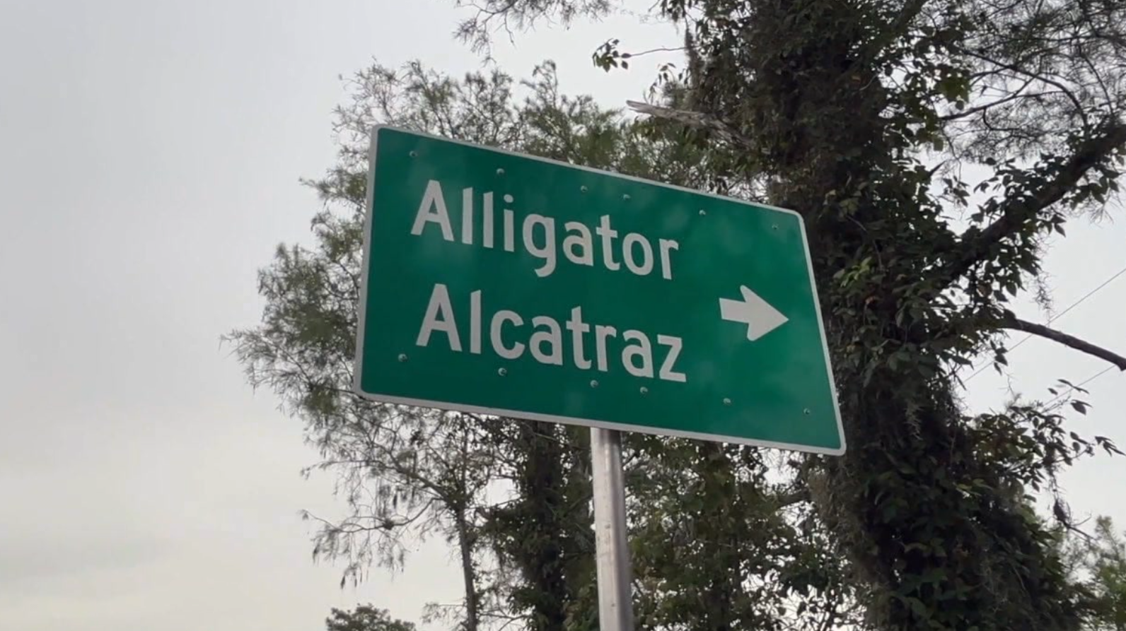 Alligator Alcatraz