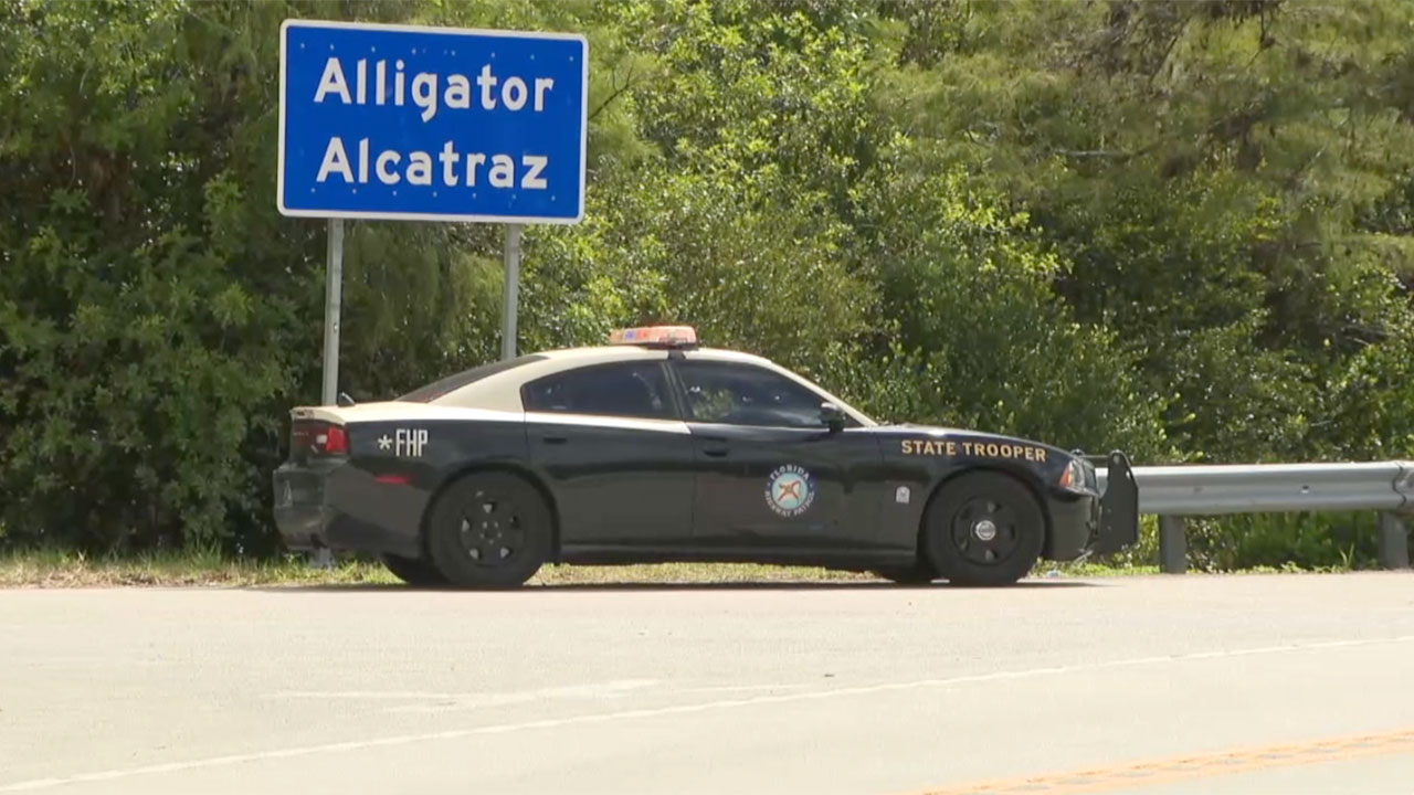 Alligator Alcatraz