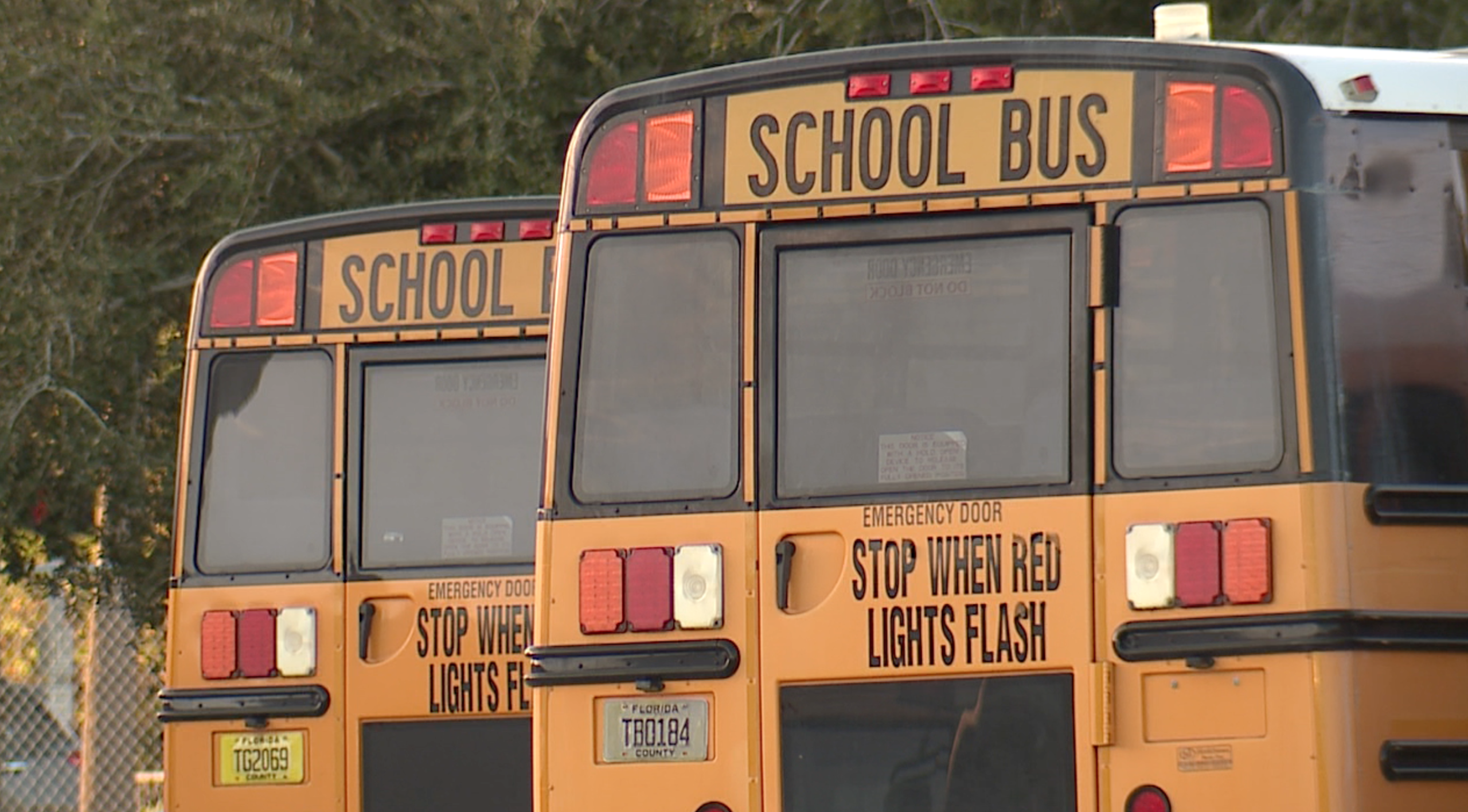 School bus