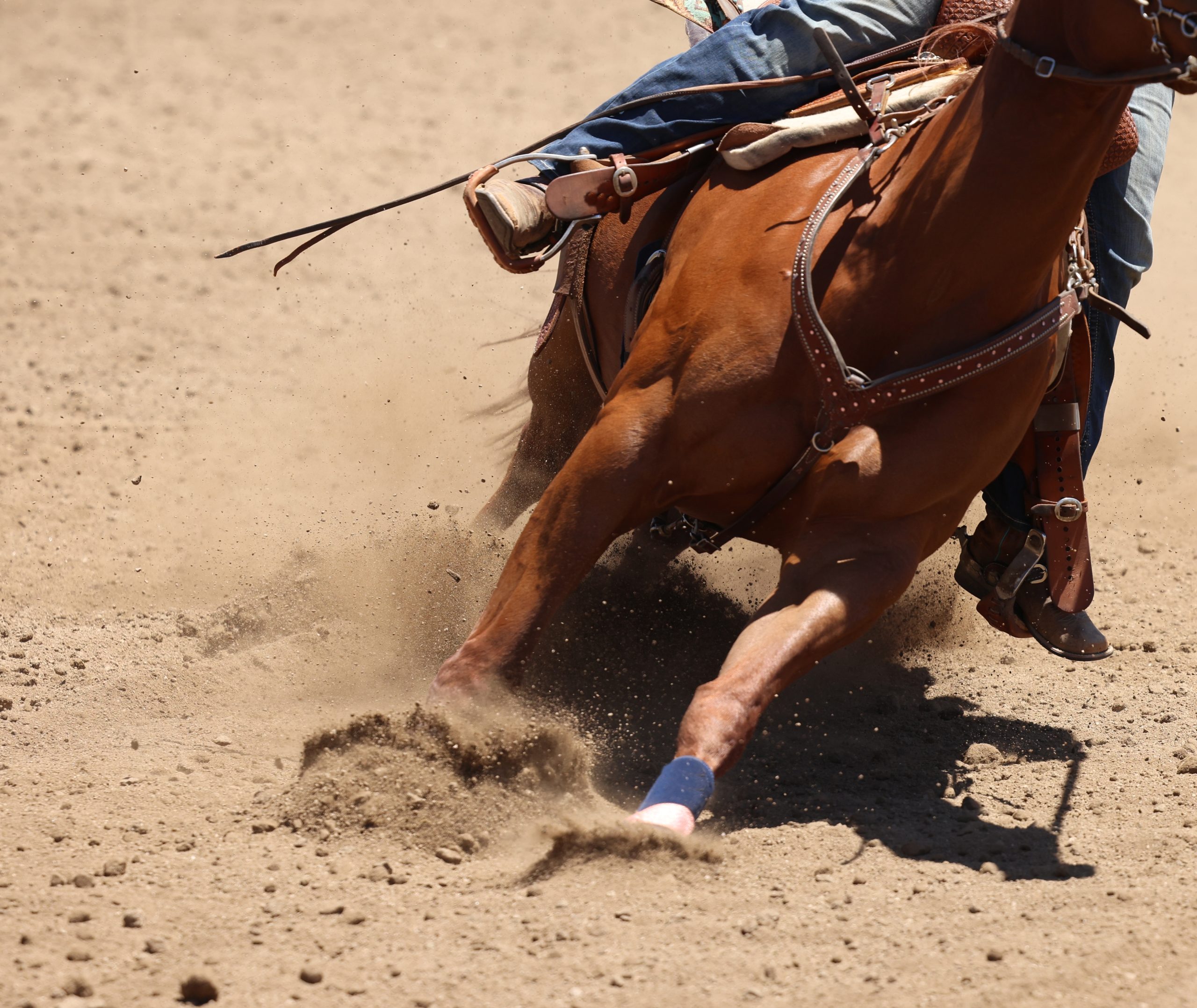 A,Close,Up,Photo,Of,A,Horse,In,Action,Kicking