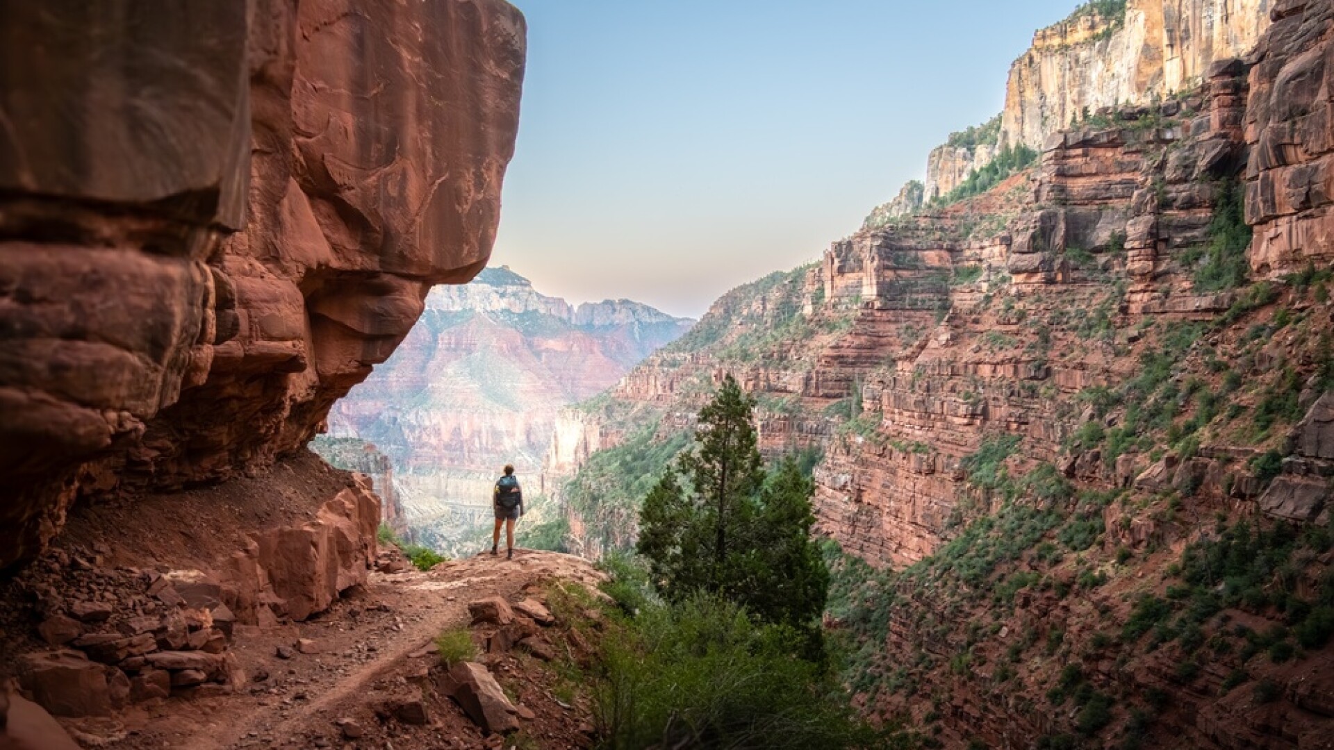 Hiker,Stands,At,An,Overlook,Along,North,Kaibab,Trail,Below