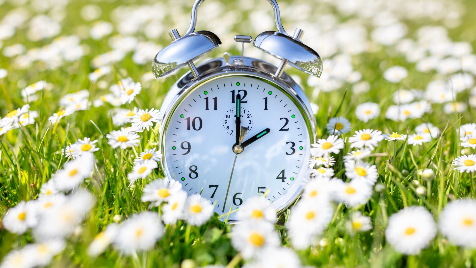 Daylight,Saving,Time,Change,,Spring,Forward,2am