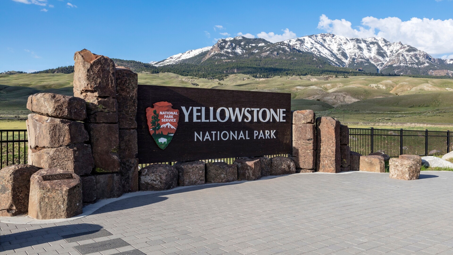 Yellowstone Bear Attack
