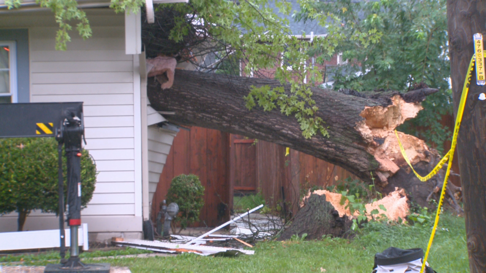 STORM DAMAGE-10P-PKG.transfer_frame_479.jpg