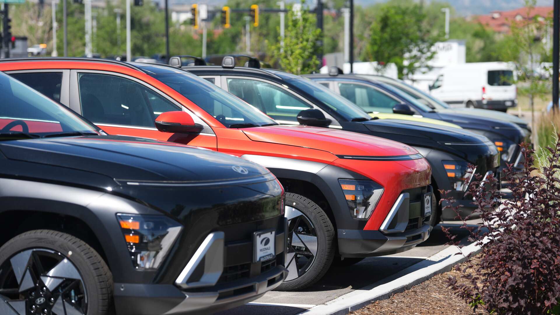 Biz New Car Sales
