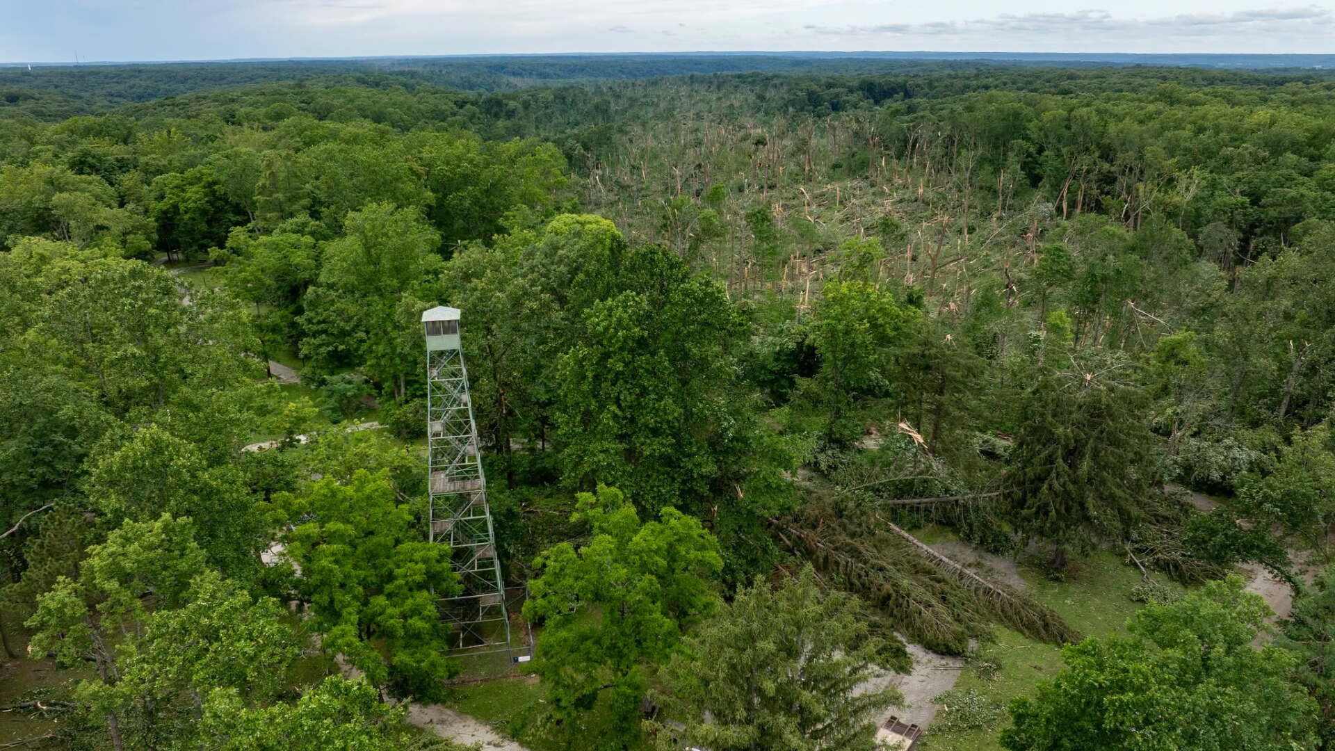 Morgan Monroe State Forest June 2026 tornado damage.jpg